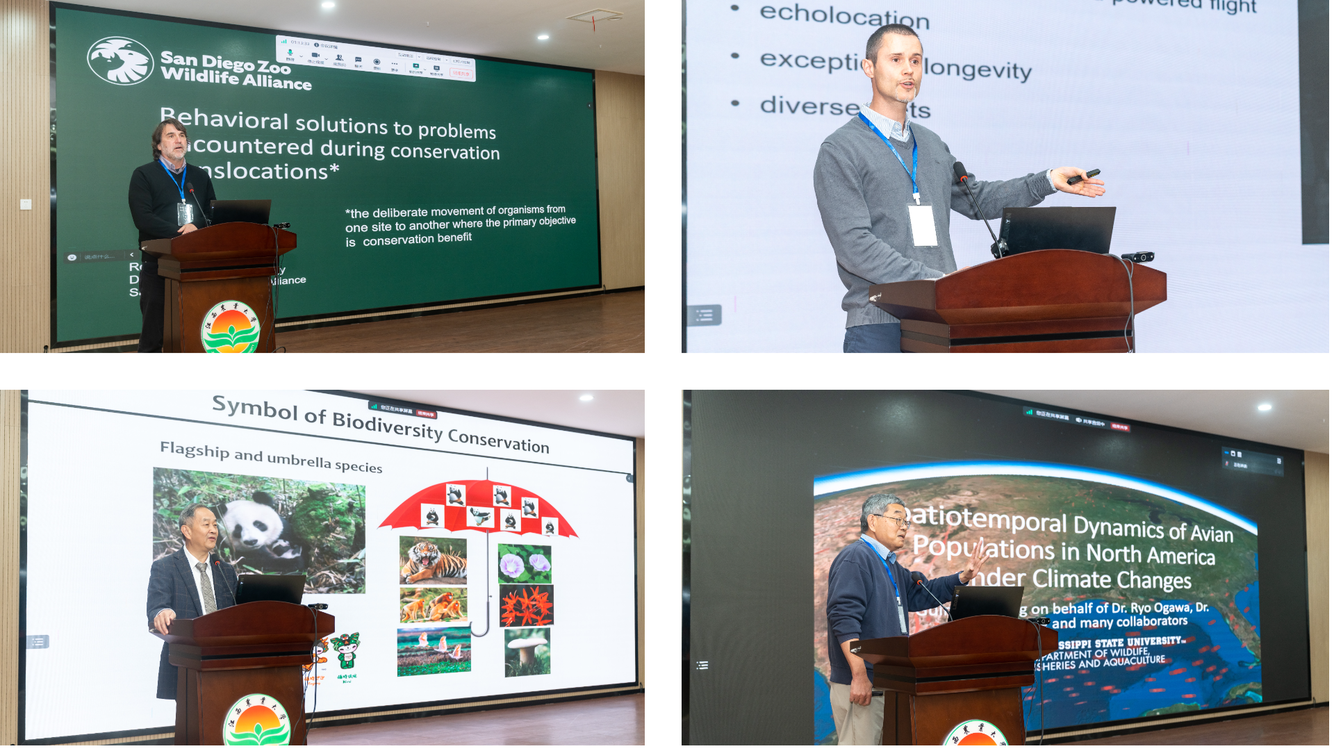 imageMerge2024-10-28 11:35:42 .png