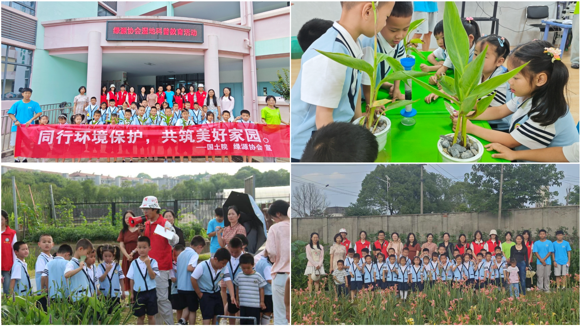 imageMerge2025-06-12 09:39:22 .png